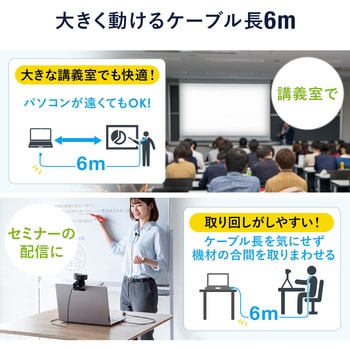 ピンマイク サンワダイレクト