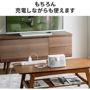スピーカー サンワダイレクト