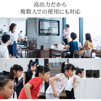 スピーカー サンワダイレクト