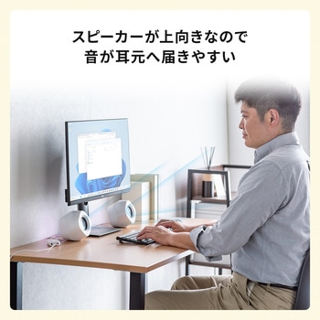 スピーカー サンワダイレクト