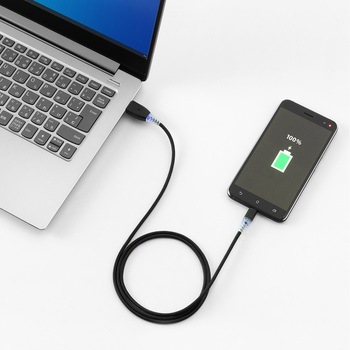 USB TypeCケーブル サンワダイレクト