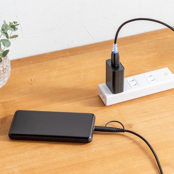 USB TypeCケーブル サンワダイレクト