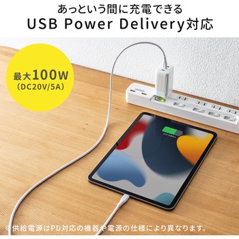 USB TypeCケーブル サンワダイレクト