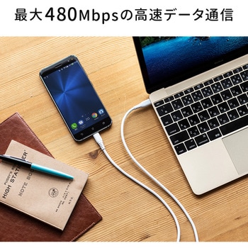 USB TypeCケーブル サンワダイレクト