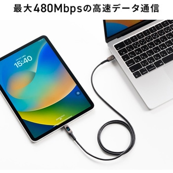 USB TypeCケーブル サンワダイレクト