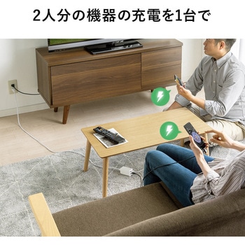 AC充電器 サンワダイレクト