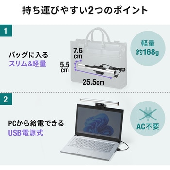 LEDライト サンワダイレクト