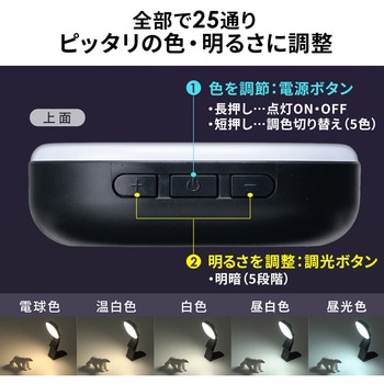 LEDライト サンワダイレクト