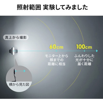 LEDライト サンワダイレクト