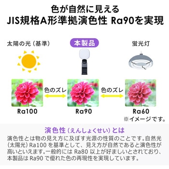 LEDライト サンワダイレクト