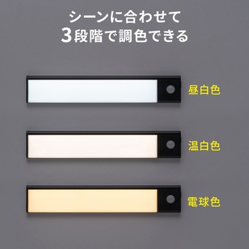 LEDライト サンワダイレクト