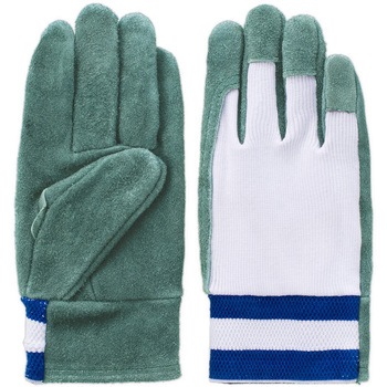 5355 �����v��� �I�C��22 �I�C�����b���� �x�m�O���[�u 1�o�� 44947998