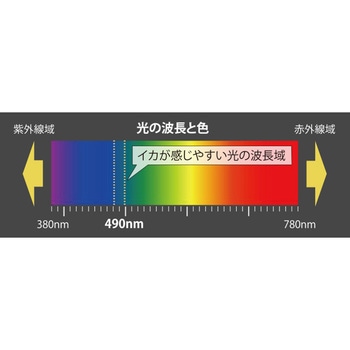 エギ王LIVEディープ 3.5D ヤマリア(YAMASHITA)