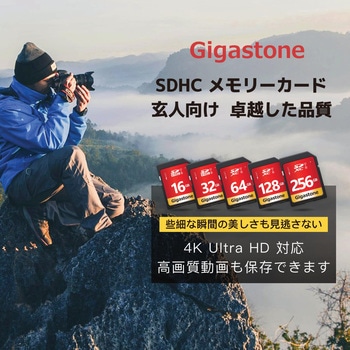 U1V10クラスSDカード 2枚セット Gigastone