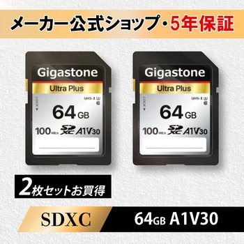 GJSXR-64GV3A1-2PK A1V30�N���XSD�J�[�h Gigastone 44999020