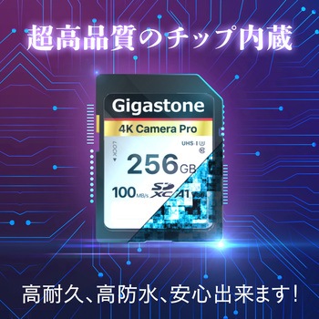 UHS-1，U3，C10 SDXCカード Gigastone