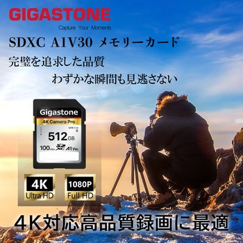UHS-1，U3，C10 SDXCカード Gigastone