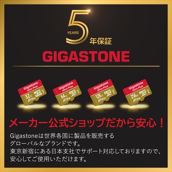 A1V30クラス Nintendo Switch確認済マイクロSDカード 2枚セット Gigastone