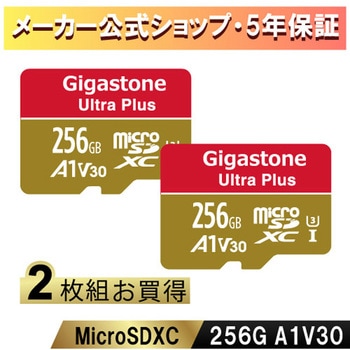 A1V30クラス Nintendo Switch確認済マイクロSDカード 2枚セット Gigastone