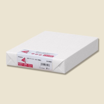 業務用100セット) Nagatoya カラーペーパー/コピー用紙 〔A4/特