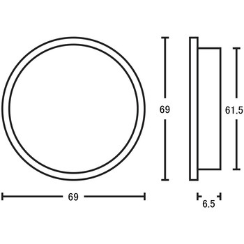 平円丸 虫喰 金座入 ツキエス