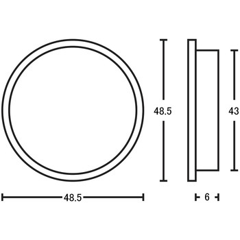 平円丸 虫喰 金座入 ツキエス