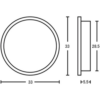 平円丸 虫喰 金座入 ツキエス