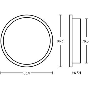 平円丸 虫喰 金座入 ツキエス