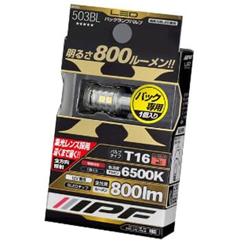 LEDバック球 IPF