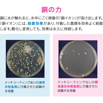 ガオナ ガーデン用水栓 コンパクト (オシャレ 泡沫金具付き 一般地・寒冷地用) GAONA(ガオナ)