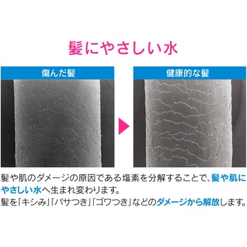 これカモ シャワーヘッドとホースのセット 浄水 大型 (髪・肌にやさしい 塩素除去 節水 ホワイト) GAONA(ガオナ)