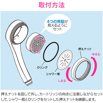 これカモ 浄水カートリッジ ピュアラ用 (浄水フィルター 交換用 2個) - GAONA(ガオナ)
