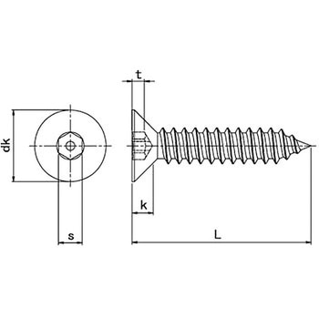 TRF/いたずら防止用ねじステンレスピン六角穴付皿タッピンねじ(4種AB形)(ステンレス/ブラック)  (小箱) 日本パワーファスニング