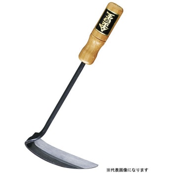 大分カナ キンボシ