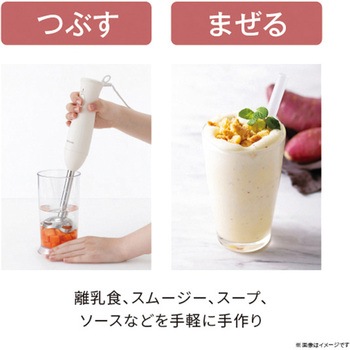 ハンドブレンダー ミキサー チョッパー 両面おろし刃 バルーンビーター付き 1台5役【つぶす/まぜる/きざむ/おろす/泡立てる】 金属製 食洗器対応 ホワイト テスコム