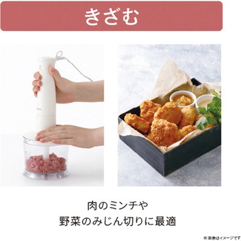 ハンドブレンダー ミキサー チョッパー 両面おろし刃 バルーンビーター付き 1台5役【つぶす/まぜる/きざむ/おろす/泡立てる】 金属製 食洗器対応 ホワイト テスコム