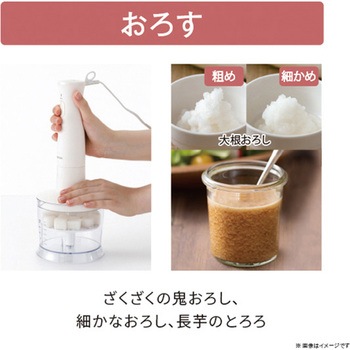 ハンドブレンダー ミキサー チョッパー 両面おろし刃 バルーンビーター付き 1台5役【つぶす/まぜる/きざむ/おろす/泡立てる】 金属製 食洗器対応 ホワイト テスコム