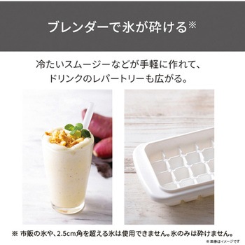 ハンドブレンダー ミキサー チョッパー 両面おろし刃 バルーンビーター付き 1台5役【つぶす/まぜる/きざむ/おろす/泡立てる】 金属製 食洗器対応 ホワイト テスコム