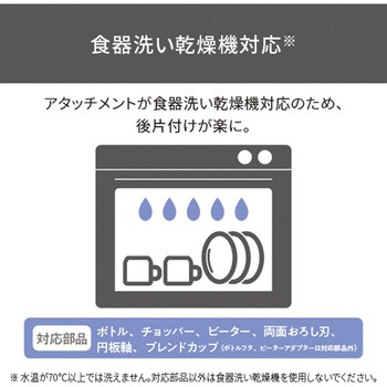 ハンドブレンダー ミキサー チョッパー 両面おろし刃 バルーンビーター付き 1台5役【つぶす/まぜる/きざむ/おろす/泡立てる】 金属製 食洗器対応 ホワイト テスコム