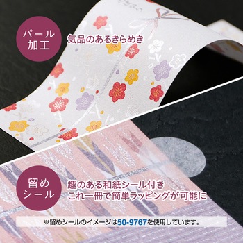簡単ラッピング のしノート パール レトロ柄 ササガワ