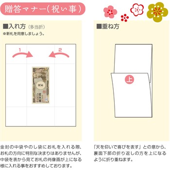 祝儀袋 金封 特大判 タカ印(ササガワ)