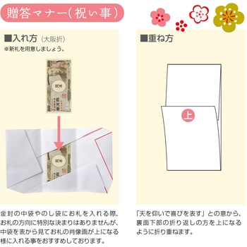 祝儀袋 100万円入る 祝儀金封 特大判 タカ印(ササガワ)