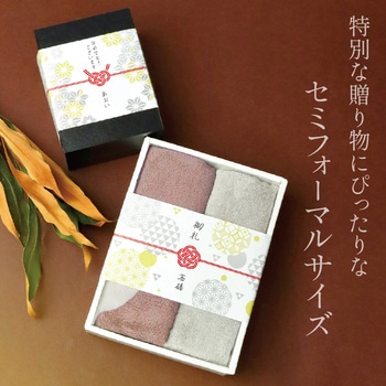 簡単ラッピング のしノート 特大 ササガワ