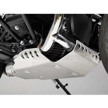エンジンガード シルバー BMW R nineT (14-) SW-MOTECH (エスダブリューモテック)