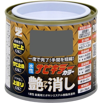 サビキラーカラー艶消し BAN-ZI