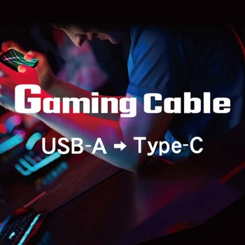 Type-C ゲームケーブル コネクタ変形可能 USB-IF正規認証品 TOPLAND