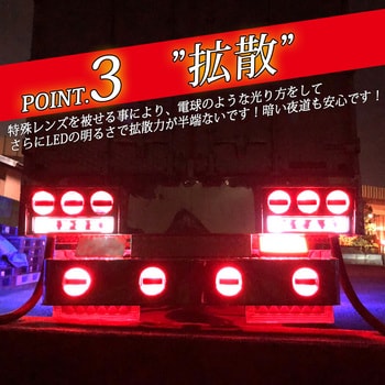 ルミナスルーセントバルブ ダブル球 BAY15d 12v/24v兼用 竹村商会