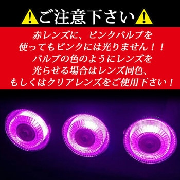 ルミナスルーセントバルブ ダブル球 BAY15d 12v/24v兼用 竹村商会