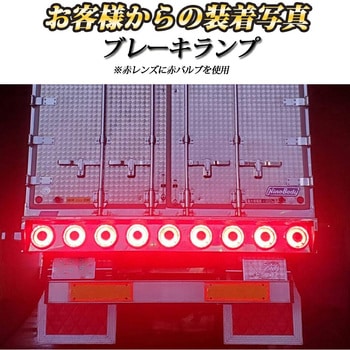ルミナスルーセントバルブ ダブル球 BAY15d 12v/24v兼用 竹村商会