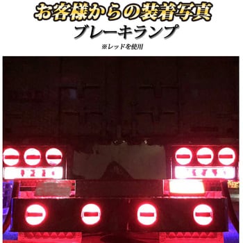 ルミナスルーセントバルブ ダブル球 BAY15d 12v/24v兼用 竹村商会